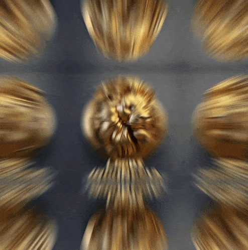 a blurry picture of a lion 's head with the word lion on the bottom