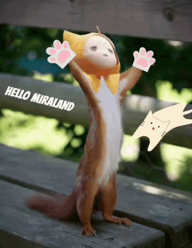 a squirrel is standing on a wooden bench with its arms in the air and the words hello miraland behind it