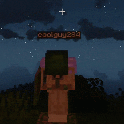 Coolguy Minecraft GIF - Coolguy Minecraft Minecraft Memes GIFs