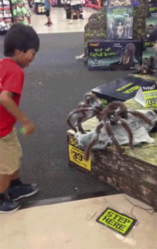 Fall Scared GIF - Fall Scared Huge Spider GIFs