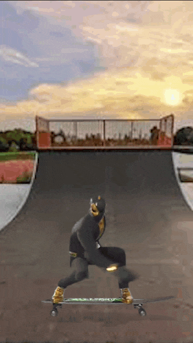 a person is riding a skateboard on a ramp