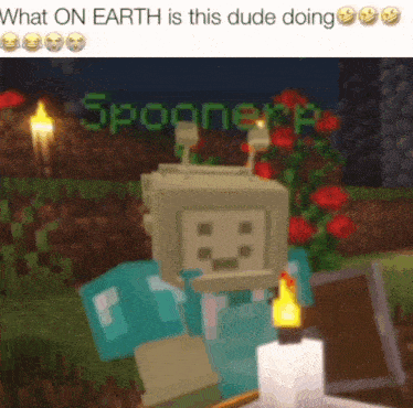 a minecraft character is standing next to a candle and a candle .