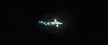 Sharks Opal GIF - Sharks Opal Disciple GIFs