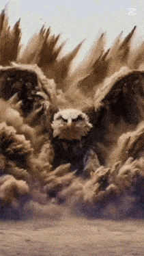 an eagle is surrounded by a cloud of sand and dust