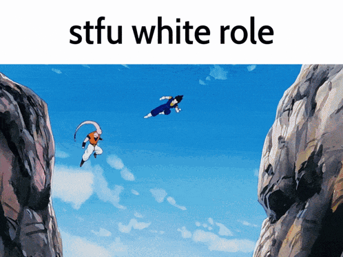 two cartoon characters are flying through the air with the words stfu white role above them