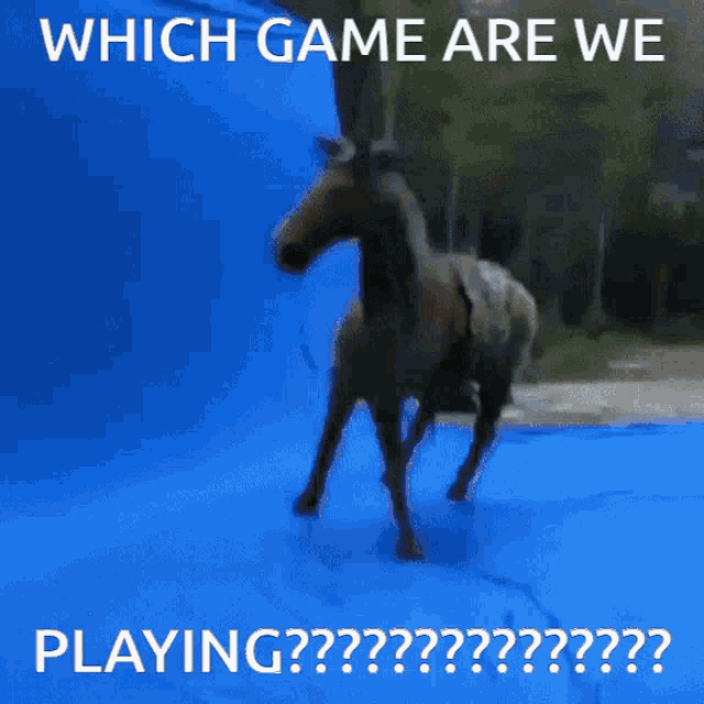 Which Game Are We Playing Horse Spin GIF - Which Game Are We Playing Horse Spin GIFs