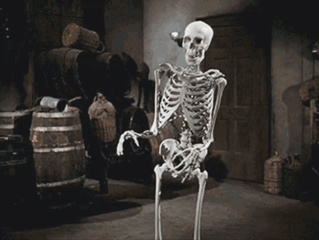 Skeleton Spooky GIF - Skeleton Spooky Halloween GIFs