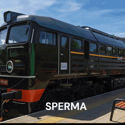 a train with the word sperma on the bottom