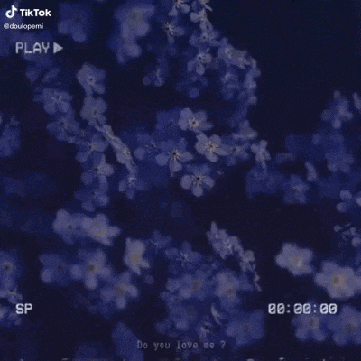 a video of a bunch of purple flowers on a dark background .
