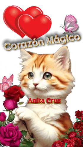 a picture of a cat with the name anita cruz written on the bottom