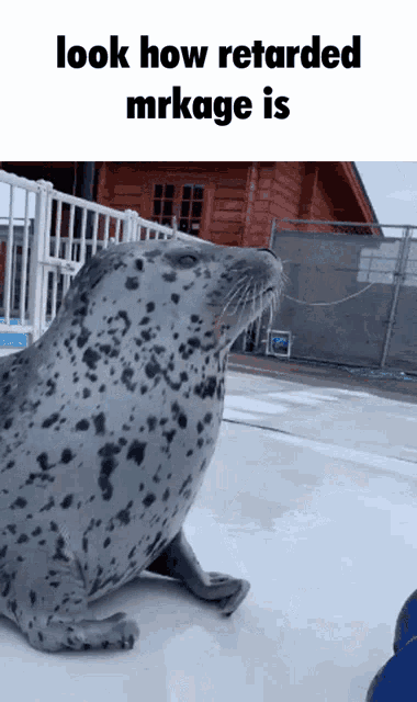a picture of a seal with the words look how retarded mrkage is