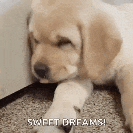 Sleeping Dog GIF - Sleeping Dog Goldenretreiver GIFs