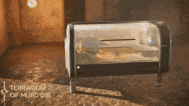 a picture of a terrarium of muaddib