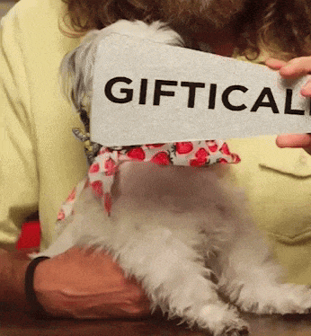 a person is holding a sign that says giftical over a dog