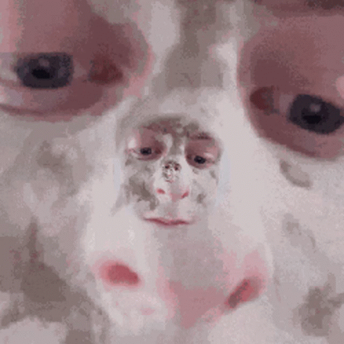 Face Zoom GIF - Face Zoom GIFs
