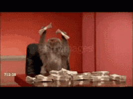 a monkey is sitting at a desk with stacks of money