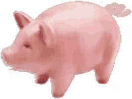 a pink piggy bank on a white background .