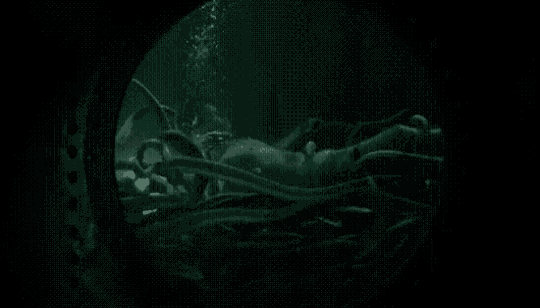 a squid is swimming in a dark aquarium with bubbles coming out of it