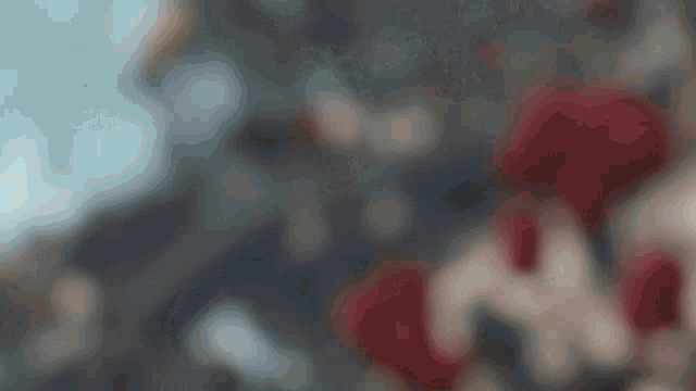 a close up of a person 's face with red and white paint on it