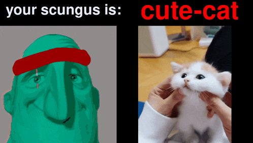 a drawing of a man with a red headband next to a picture of a kitten
