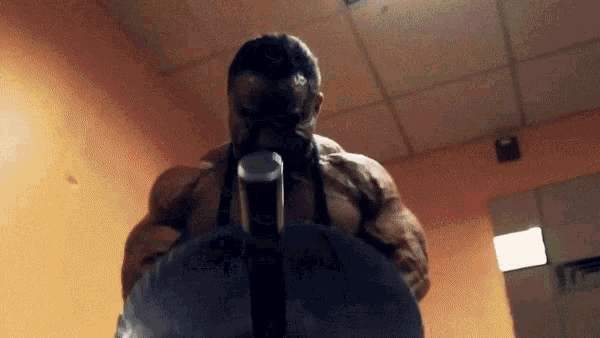 Back Day GIF - Back Day Training GIFs