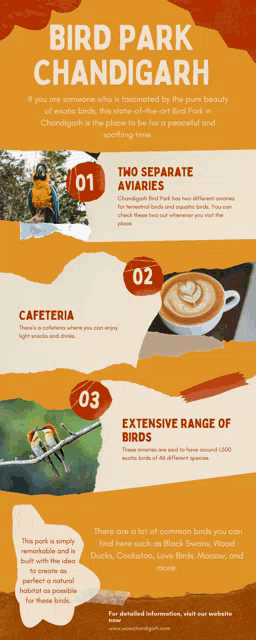 a flyer for bird park chandigarh with a picture of a parrot