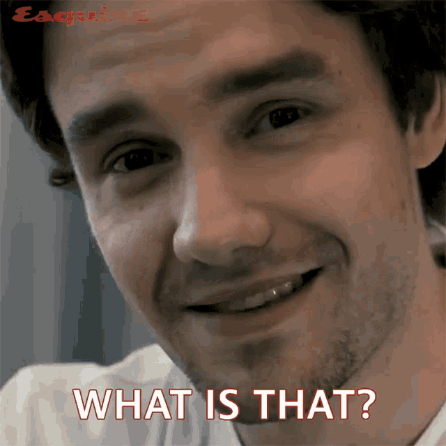 What Is That Liam Payne GIF - What Is That Liam Payne Esquire GIFs