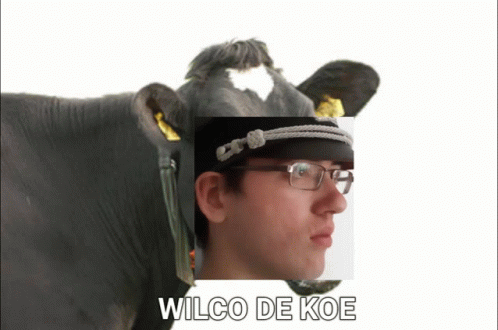 Wilco Koe GIF - Wilco Koe GIFs