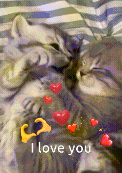 a couple of cats laying next to each other with hearts around them and the words i love you