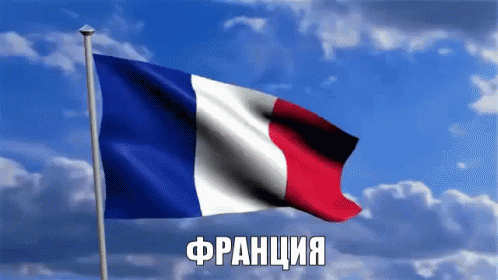 флаг франции франция GIF - Flag Of France France Flag GIFs