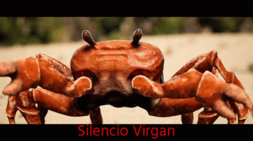 Virgan Pelotudo32 Silencio Virgan GIF - Virgan Pelotudo32 Silencio Virgan GIFs