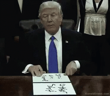 Donald Trump Some Other Shit GIF