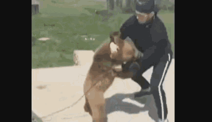 a man is holding a bear on a chain .