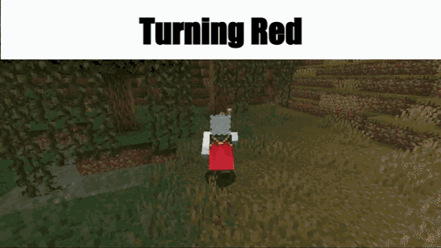 Turning Red Minecraft GIF - Turning Red Minecraft Mario GIFs