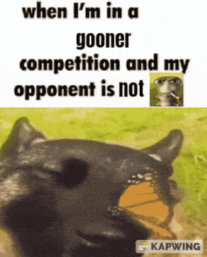 a cat with a butterfly in its mouth says when i 'm in a gooner competition