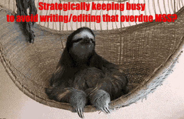 a sloth is laying in a hammock with the words strategically keeping busy to avoid writing / editing that overdue