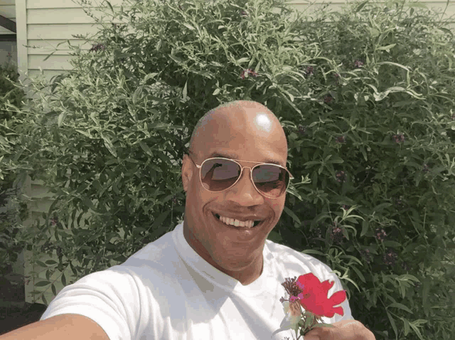 a man wearing sunglasses is holding a red flower in front of a bush