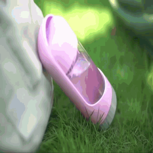 a person is holding a pink bottle of water in their hand