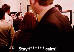 The Office Panic GIF - The Office Panic Stay Calm GIFs