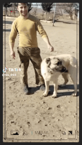 a man standing next to a dog with tiktok written on the screen