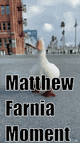 a picture of a duck with the words matthew farnia moment written on it
