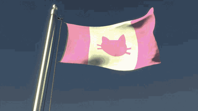 a pink and white flag with a cat 's face on it