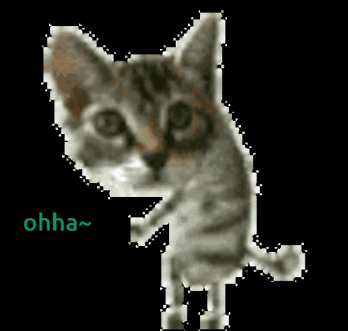 a pixelated image of a cat with the word ohha written below it