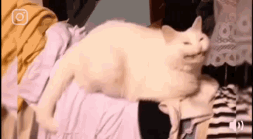 a white cat is laying on top of a pile of laundry .
