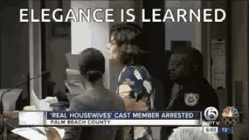 a news report about a real housewives cast member being arrested in palm beach county