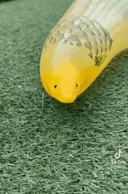 a yellow inflatable fish is laying on a grassy surface