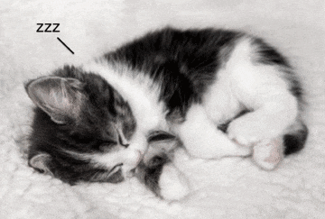 a black and white kitten is sleeping on a white blanket