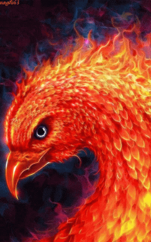 Fire Bird GIF - Fire Bird Art GIFs