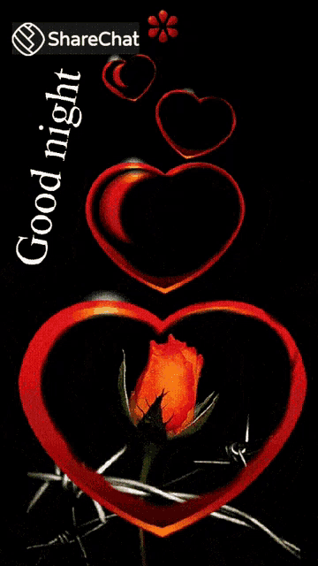 a picture of a rose in a heart with the words good night on it