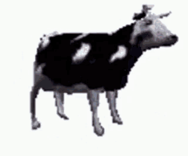 Spy Cow GIF - Spy Cow Chain Chomper GIFs
